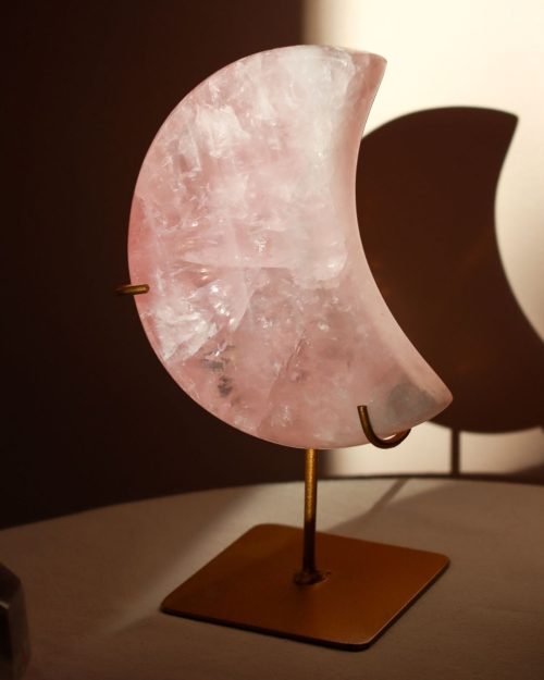 rozenkwarts maan op standaard