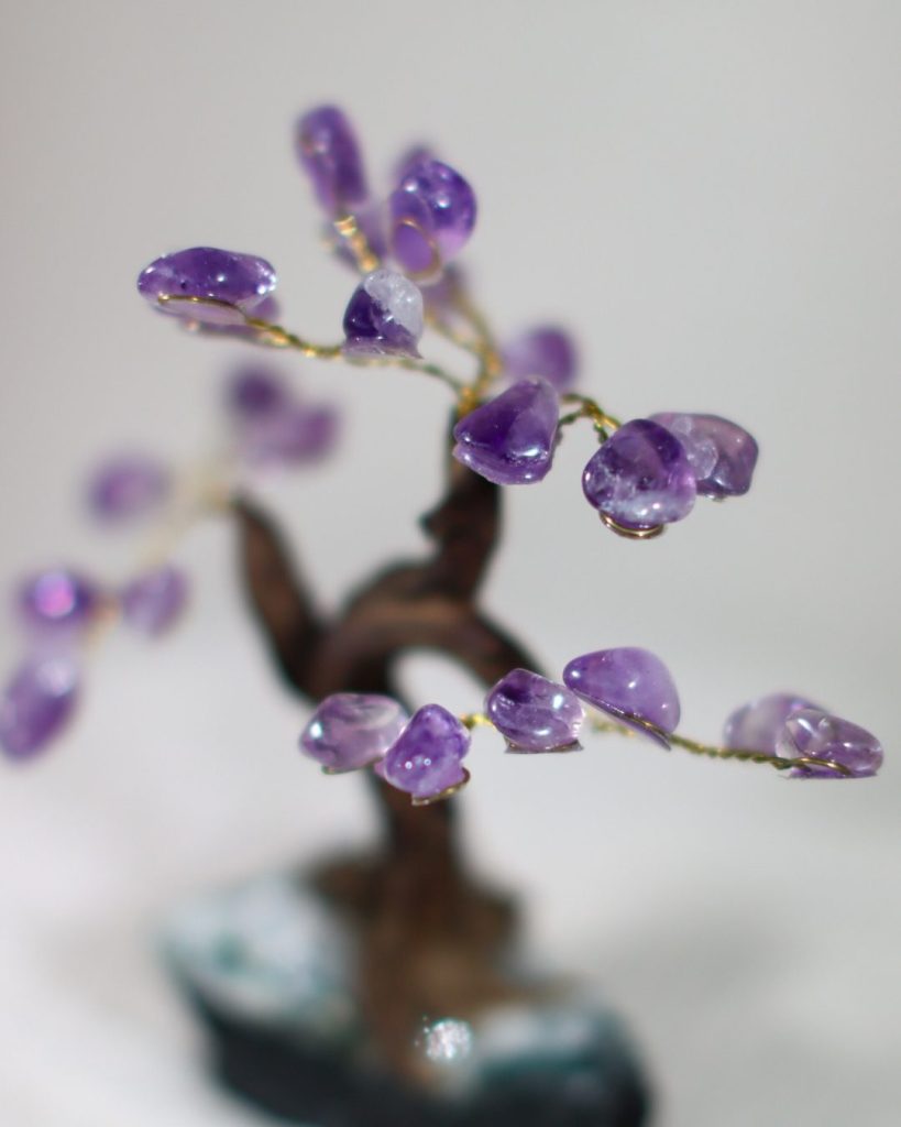 paarse amethist boom