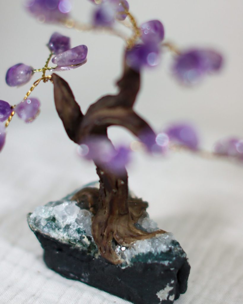 paarse amethist boom