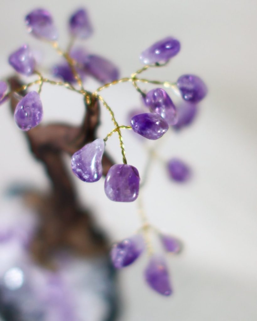 paarse amethist boom