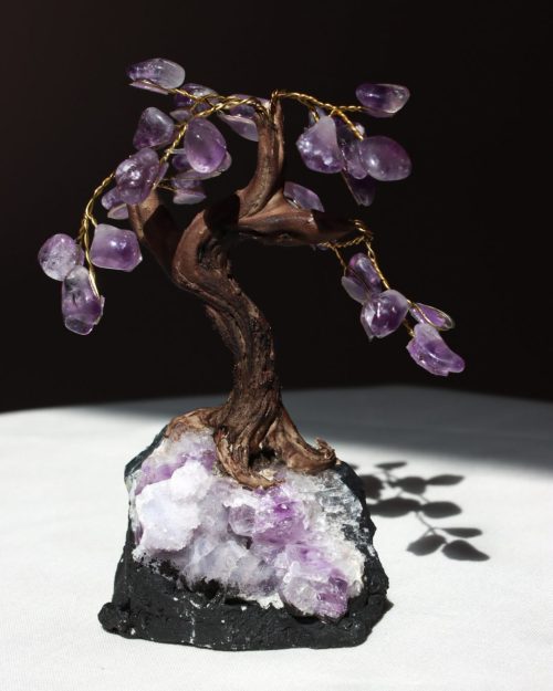 paarse amethist boom