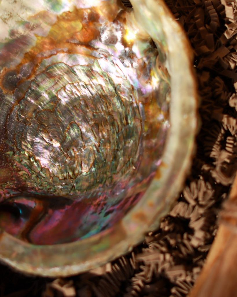 smudge set palo santo white sage