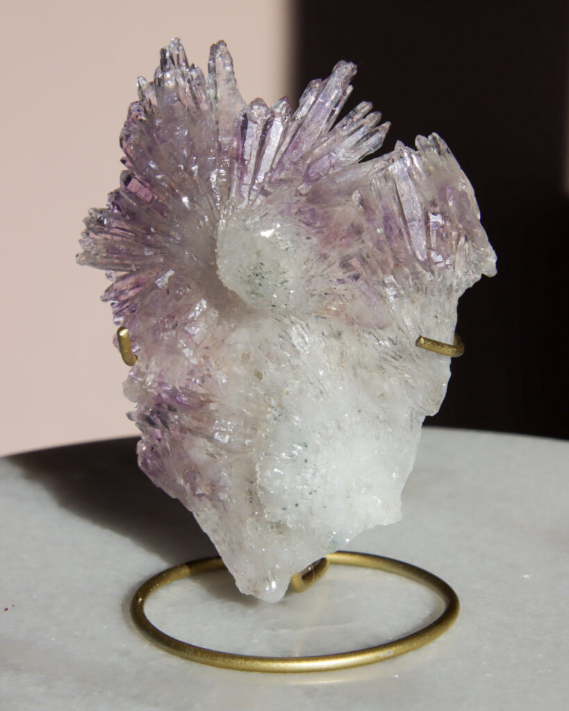 bloem amethist cluster