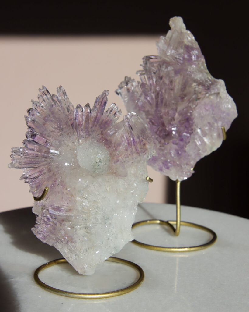 bloem amethist cluster