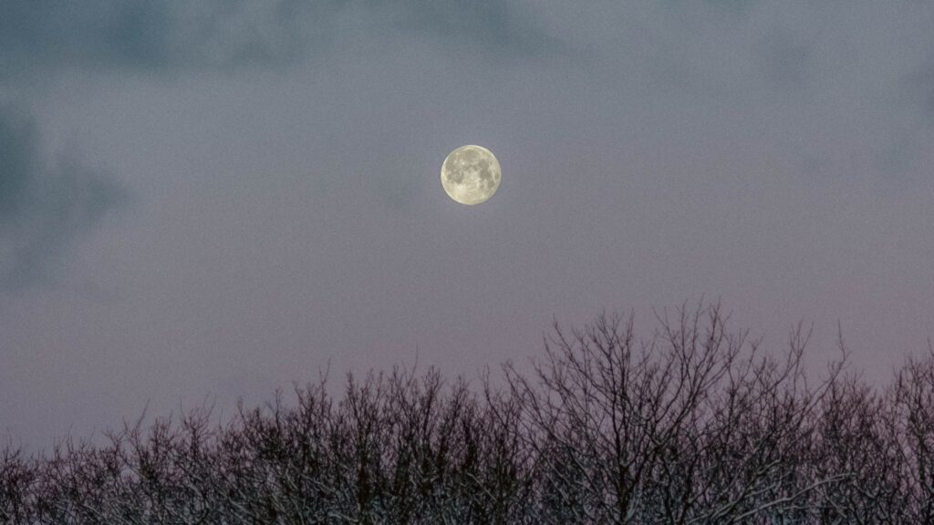 volle maan in steenbok