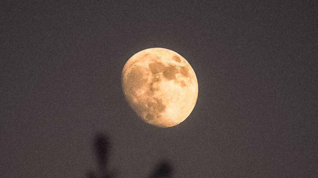 volle maan in waterman