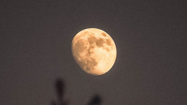 volle maan in waterman